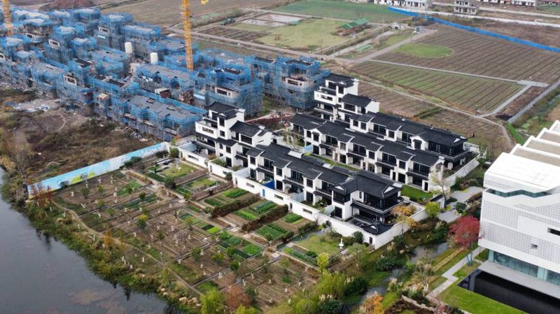 海门装饰行业动态：市场趋势与挑战并存